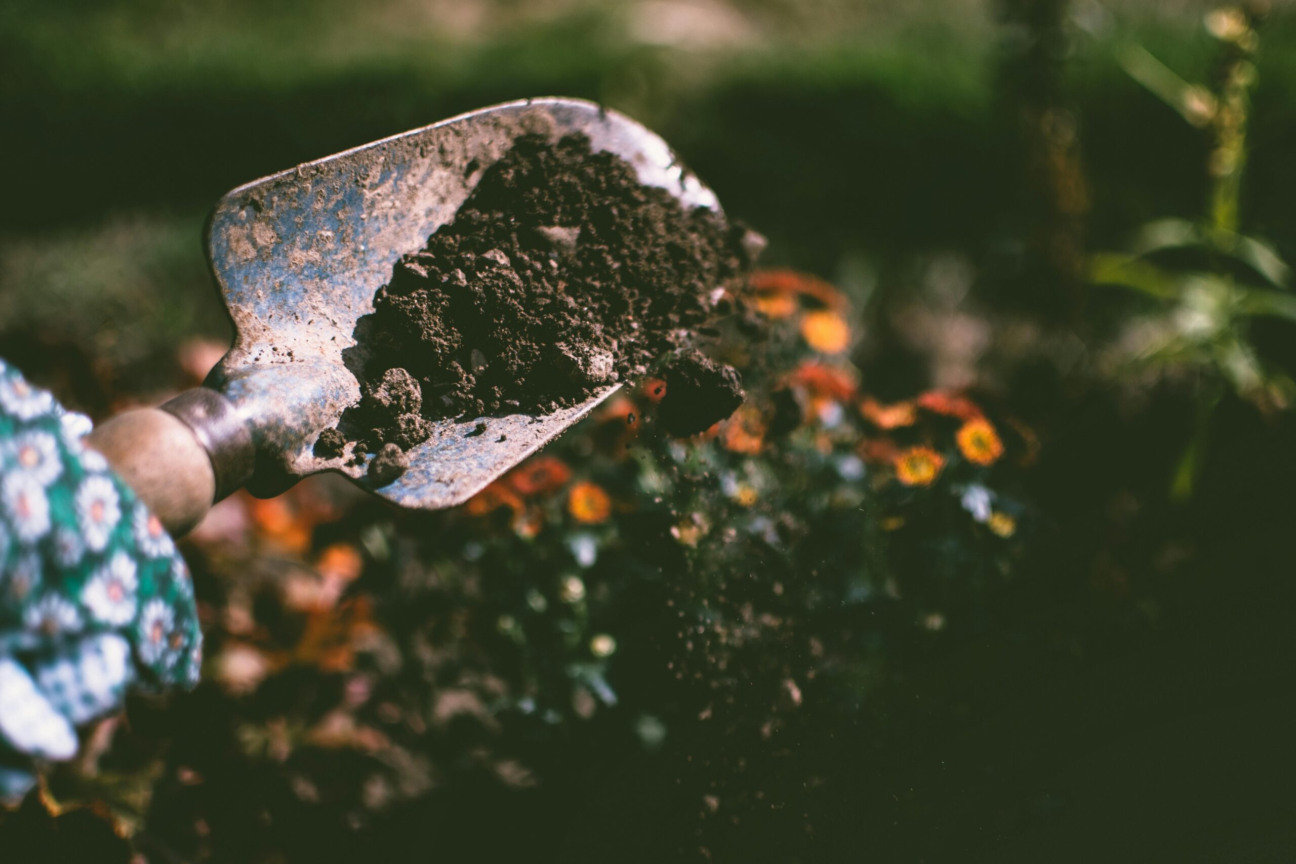 Cost Conscious: Digging Into Tariffs: The Impact On Your Spring and Summer Gardens